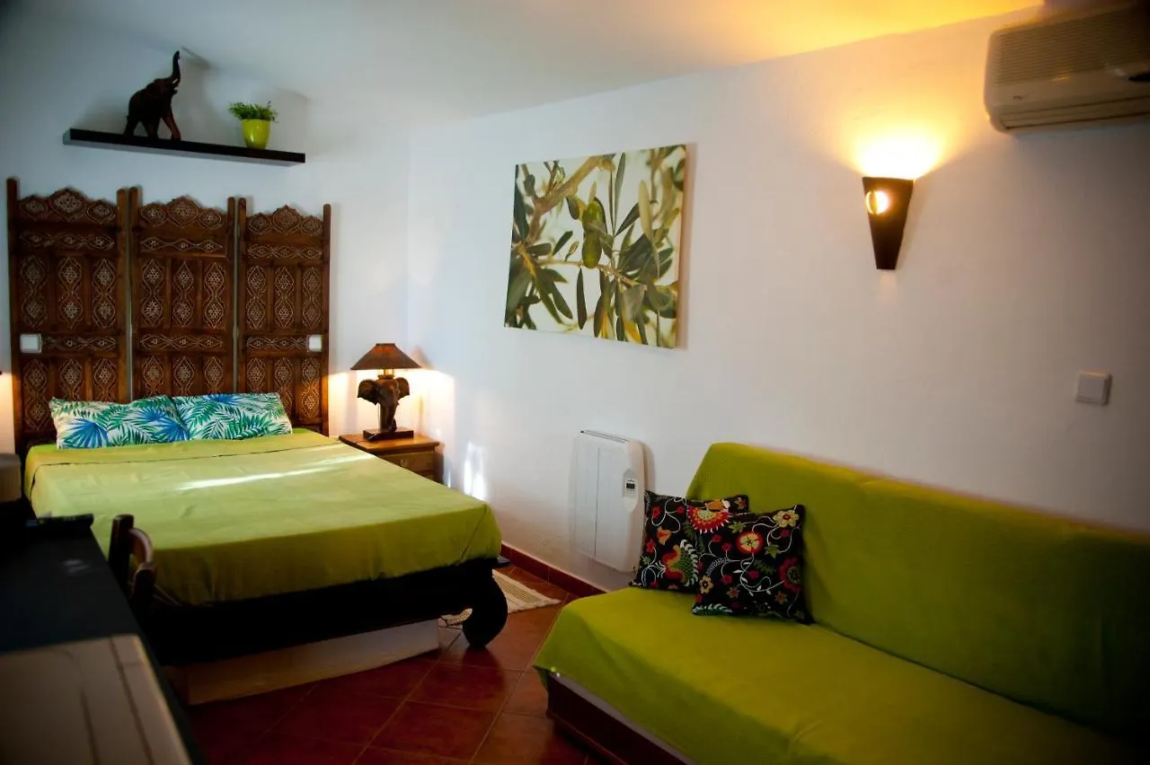 Cortijo Flamingos Apartment Chiclana de la Frontera Spain